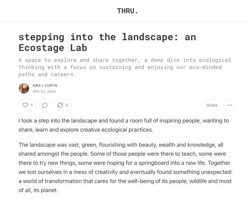 A preview of a blog page called 'stepping into the landscape: an Ecostage Lab'. Click to enter the blog.